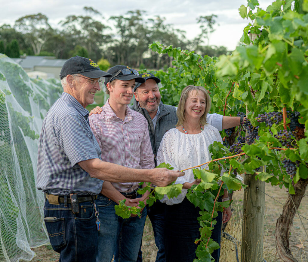 The Vine Family